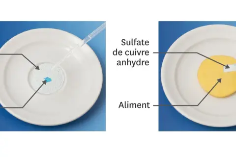Sulfate de cuivre anhydre réagit avec un liquide, montrant le danger potentiel pour la santé. Une autre image montre le sulfate de cuivre sur un aliment.